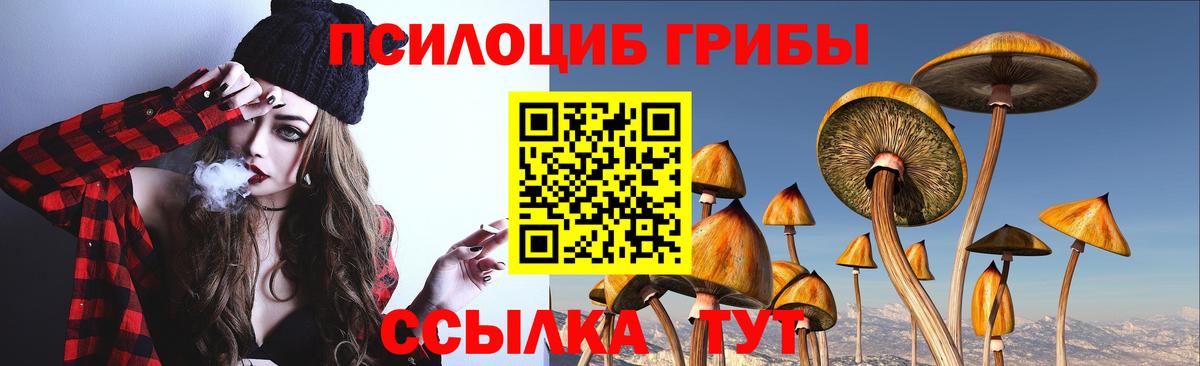 Галлюциногенные грибы мицелий Азнакаево